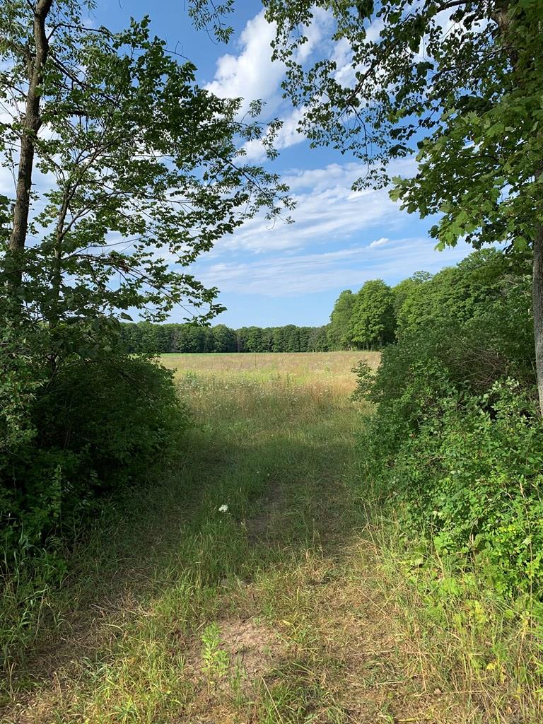 Tbd Lost Lake Road Egg Harbor, WI 54209 - Photo 7 of 29