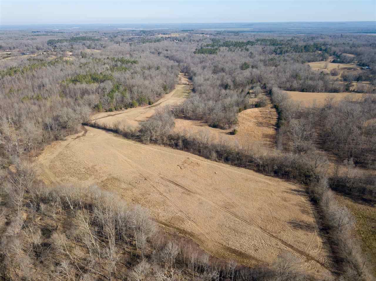 0 Pickens Lane Adamsville, TN 38310 - Photo 14 of 25 Gallery Image 14