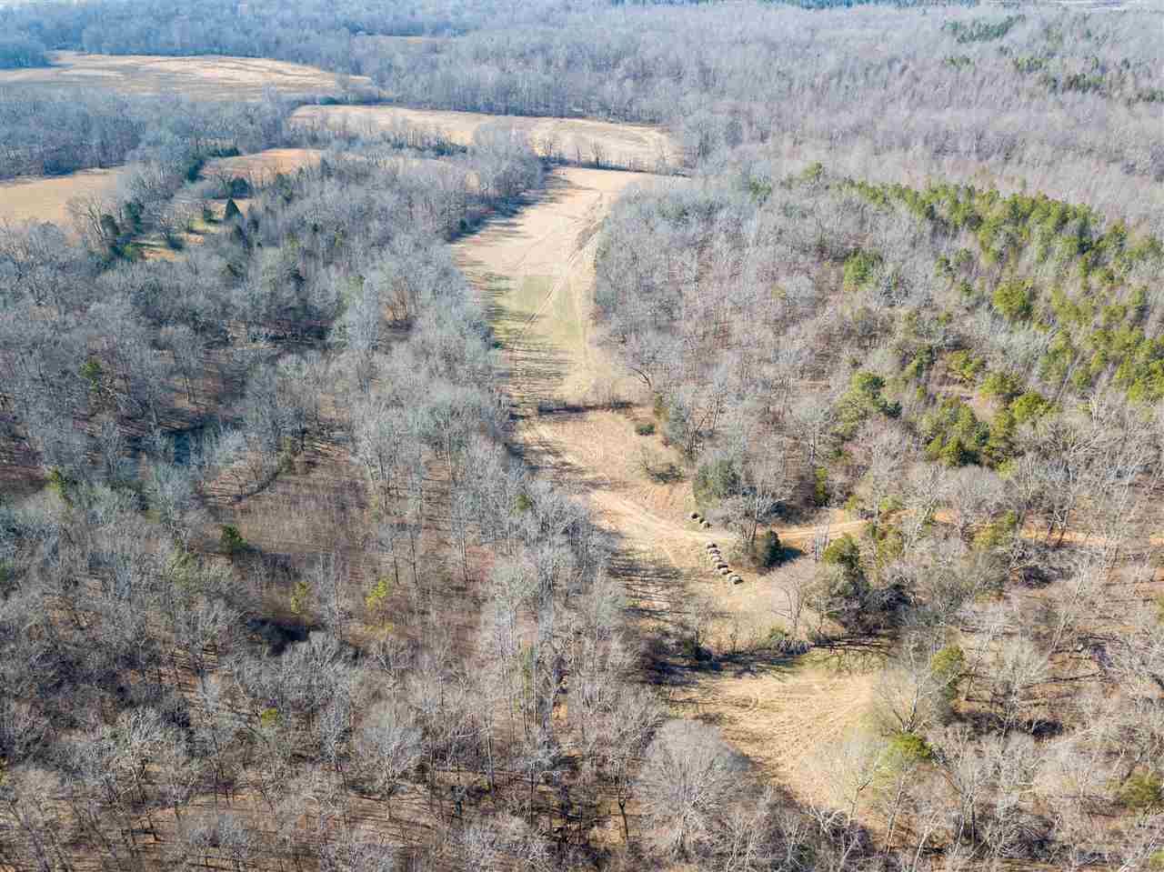 0 Pickens Lane Adamsville, TN 38310 - Photo 3 of 25 Gallery Image 3