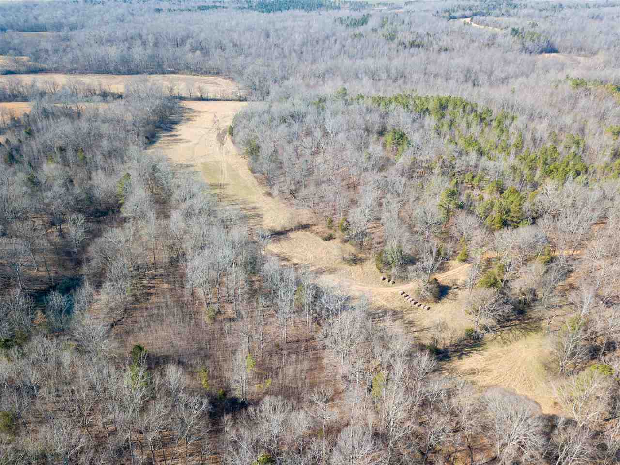 0 Pickens Lane Adamsville, TN 38310 - Photo 4 of 25 Gallery Image 4