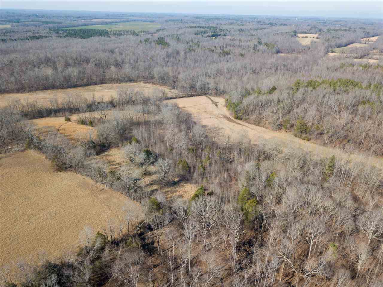 0 Pickens Lane Adamsville, TN 38310 - Photo 7 of 25 Gallery Image 7