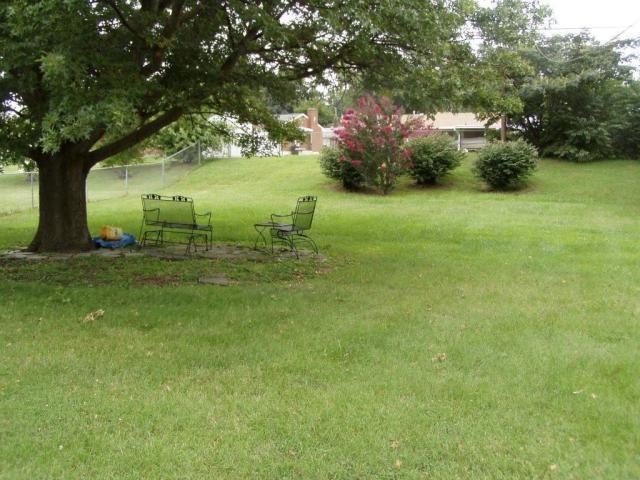 526 Magnolia Road Roanoke, VA 24019 - Photo 2 of 24 Yard view