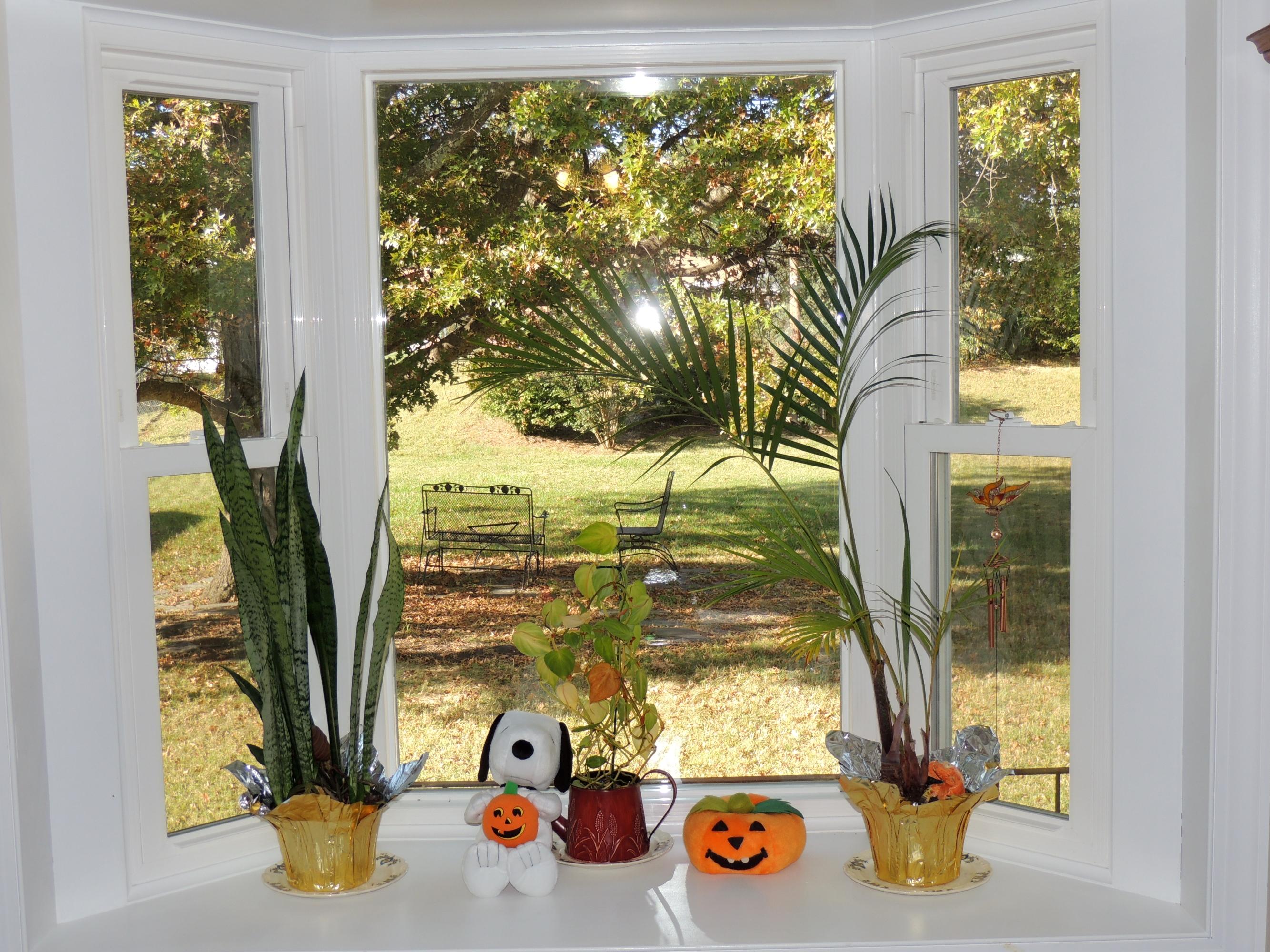526 Magnolia Road Roanoke, VA 24019 - Photo 13 of 24 Bay Window