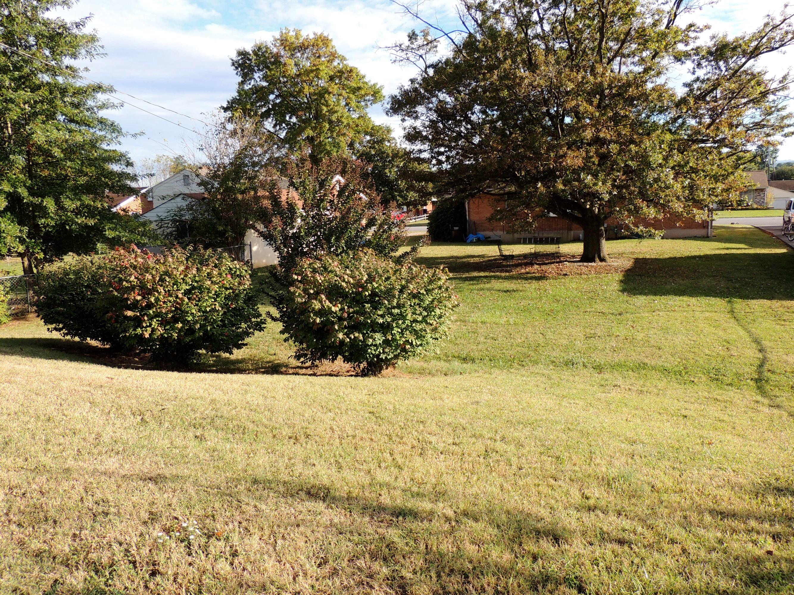526 Magnolia Road Roanoke, VA 24019 - Photo 24 of 24 Yard View