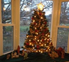 526 Magnolia Road Roanoke, VA 24019 - Photo 6 of 24 Bay window decorated