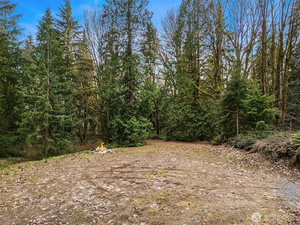 a view of a yard with a tree