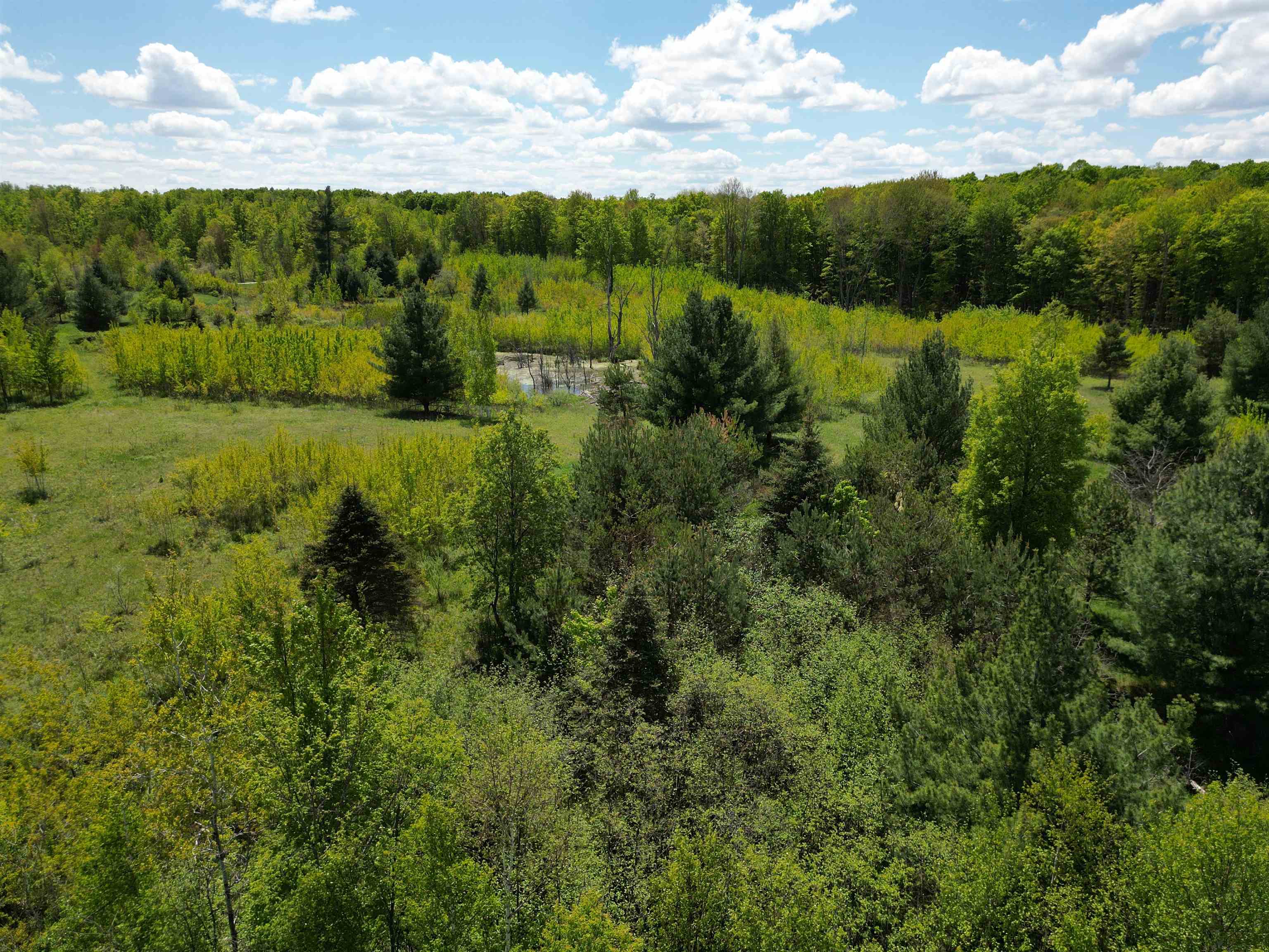 19 Mile Road Kingsley, MI 49649 - Photo 4 of 30