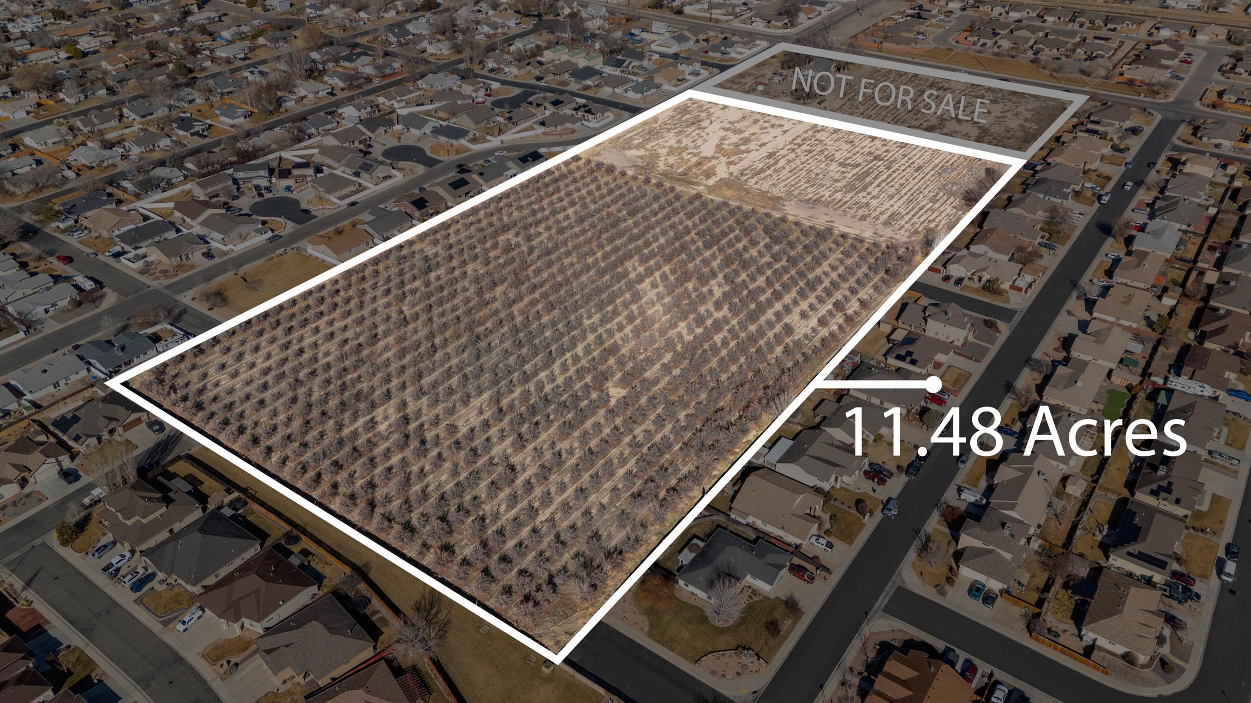 3153 E Road Grand Junction, CO 81504 - Photo 4 of 19 a black white and black white checkered floor