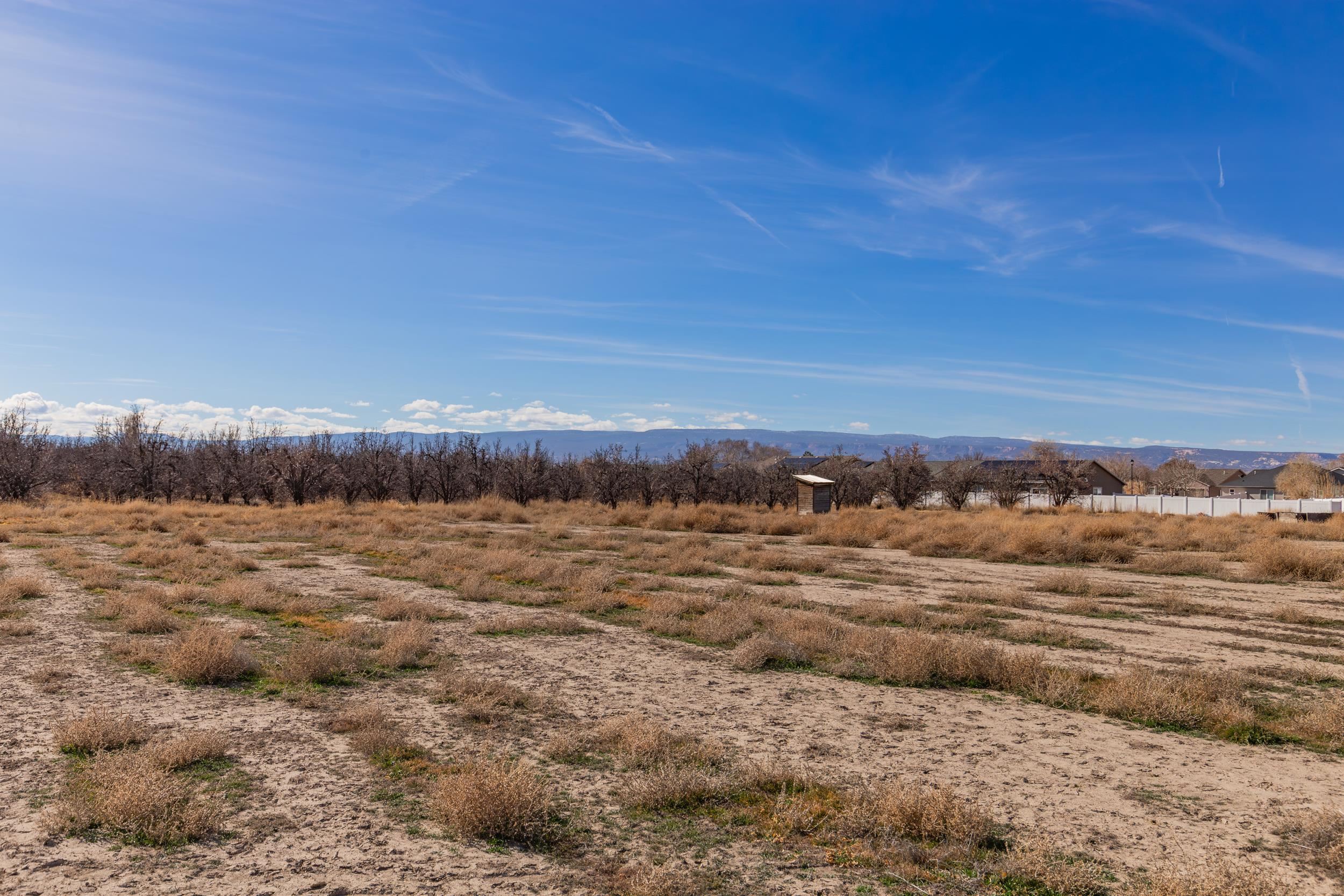 3153 E Road Grand Junction, CO 81504 - Photo 6 of 19