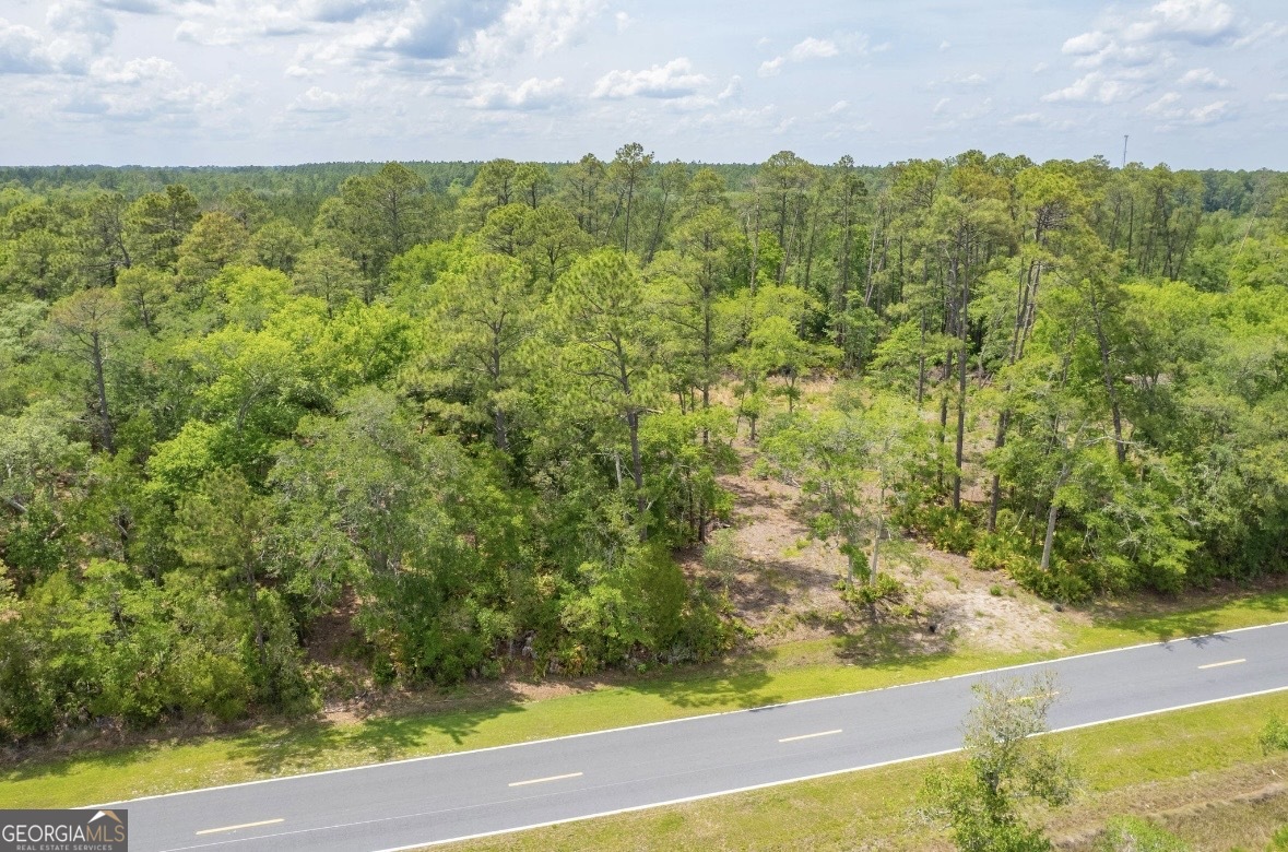 0 Piney Bluff Road Waverly, GA 31565 - Photo 23 of 26