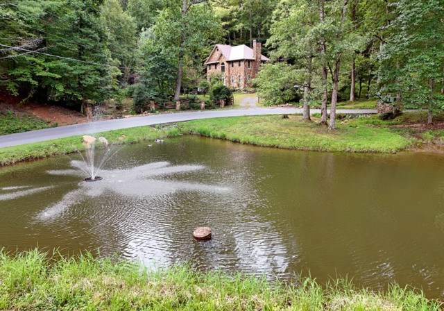 3360 Turniptown Road Ellijay, GA 30536 - Photo 3 of 81 Gallery Image 3