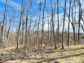 2611 Shull Road Northeast Roanoke, VA 24012 - Photo 21 of 21 35