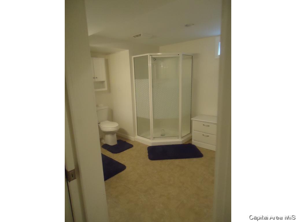2257 East Watch Avenue Springfield, IL 62702 - Photo 19 of 22
