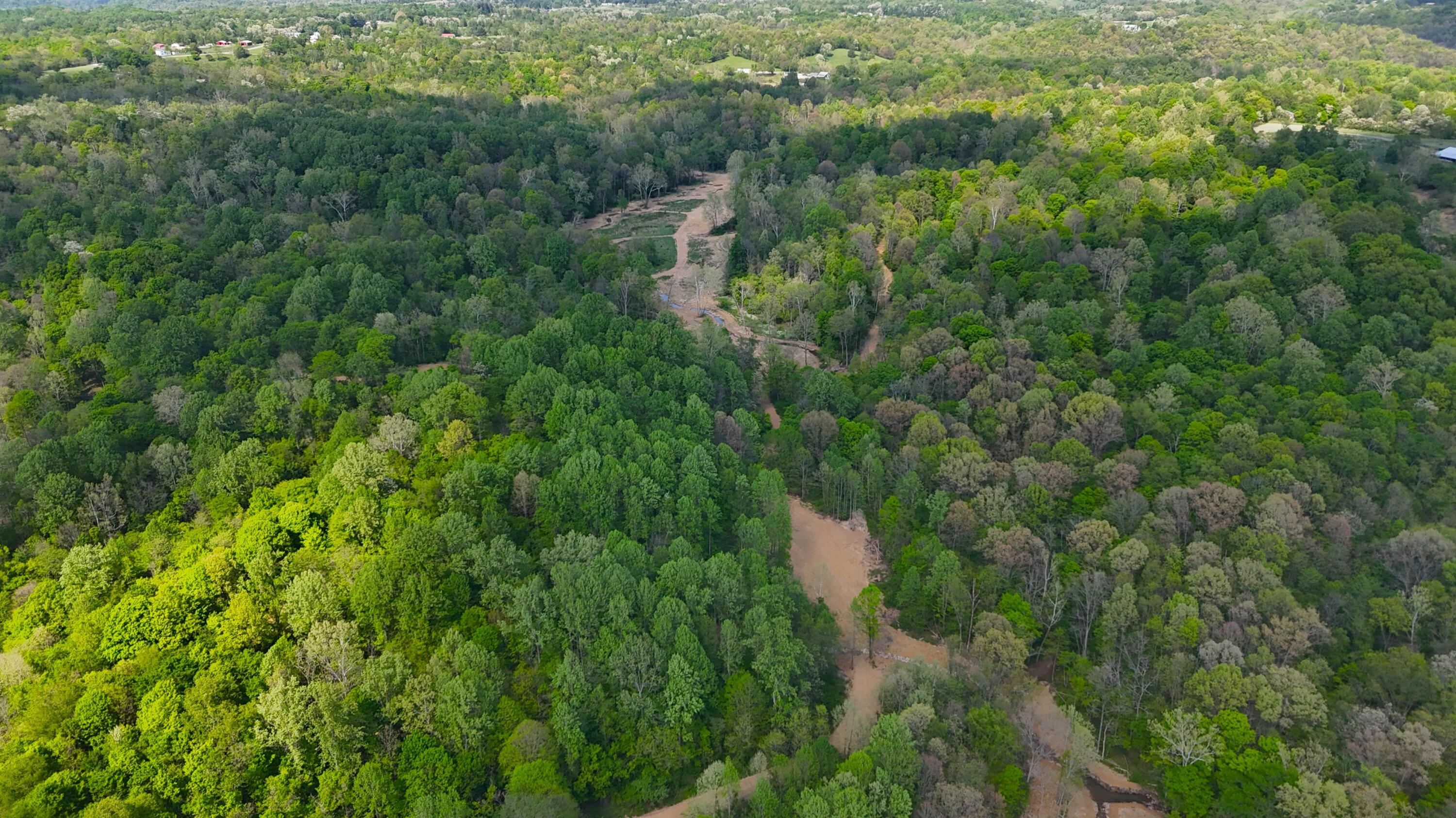 9477 Beechgrove Road Burlington, KY 41005 - Photo 27 of 47 DJI_20260423160250_0545_D