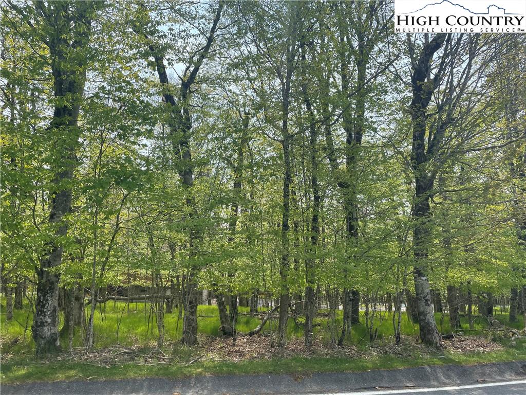 106 North Pinnacle Ridge Road Beech Mountain, NC 28604 - Photo 1 of 6 Gallery Image 1
