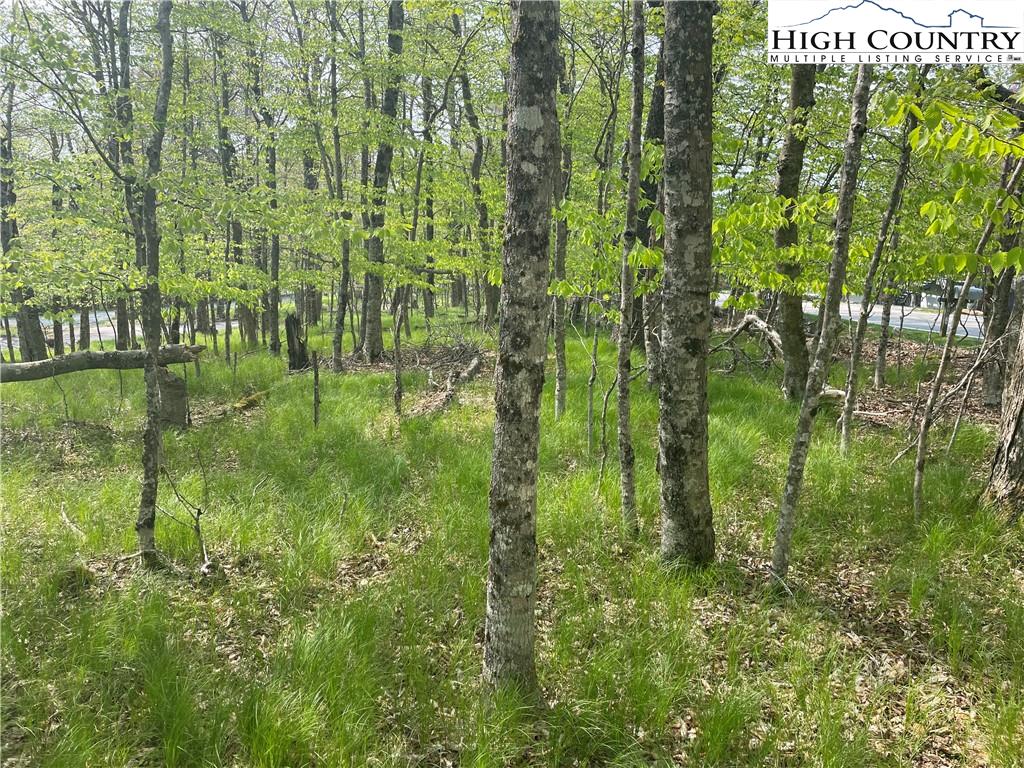 106 North Pinnacle Ridge Road Beech Mountain, NC 28604 - Photo 2 of 6 Gallery Image 2