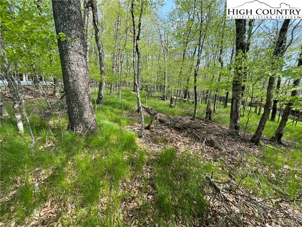 106 North Pinnacle Ridge Road Beech Mountain, NC 28604 - Photo 3 of 6 Gallery Image 3
