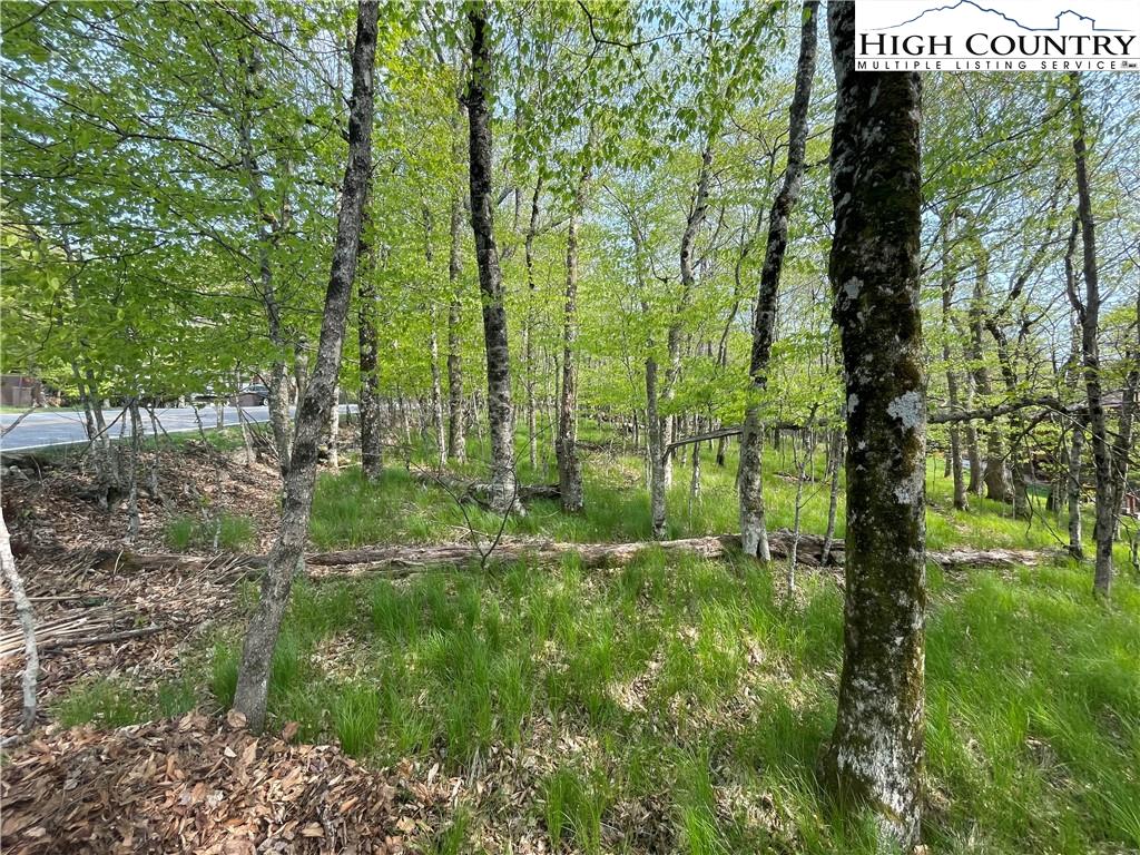 106 North Pinnacle Ridge Road Beech Mountain, NC 28604 - Photo 4 of 6 Gallery Image 4