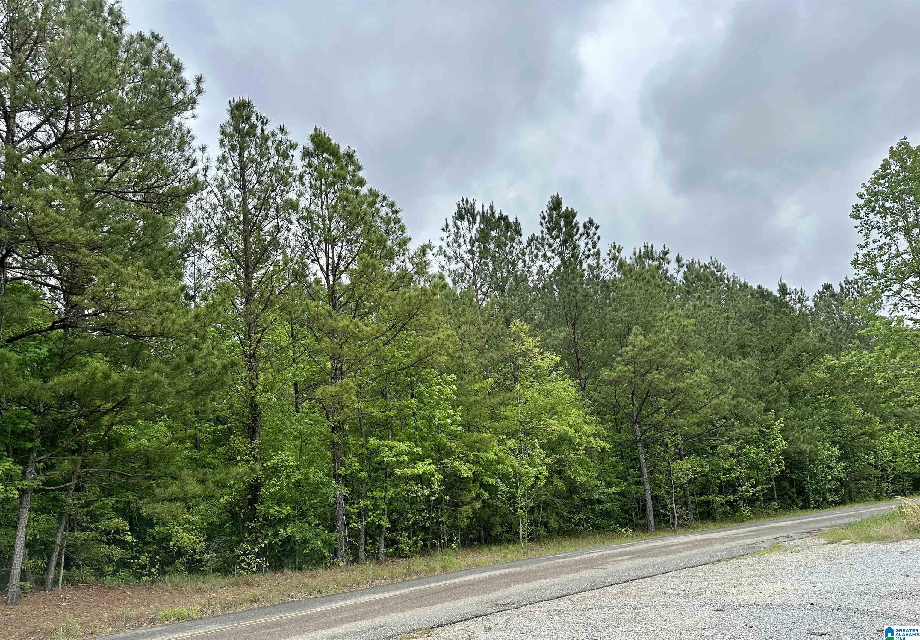 0 Jackson Trace Road, Unit M&B Ohatchee, AL 36271 - Photo 3 of 8 Gallery Image 3