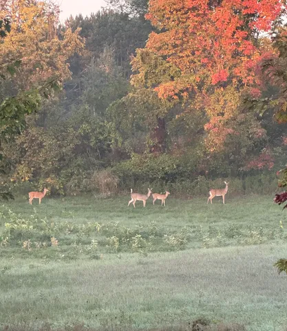 $459,999 | 15333 Cedar Springs Avenue Northeast, Cedar Springs, MI 49319