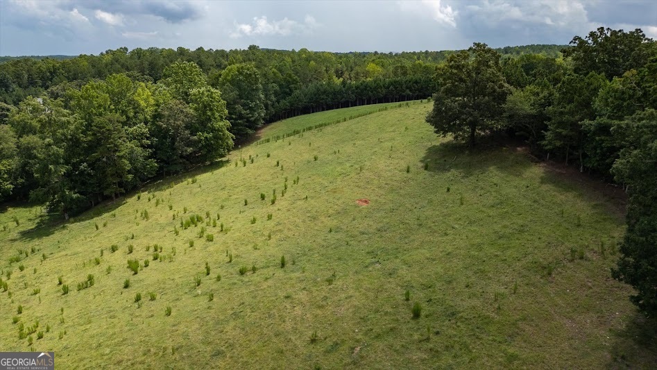 0 County Road 19 Heflin, AL 36264 - Photo 27 of 36