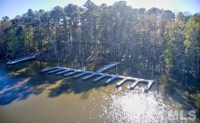 a view of a forest with a forest
