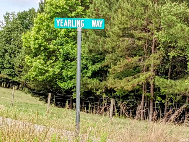 a view of a wooden house with a tree