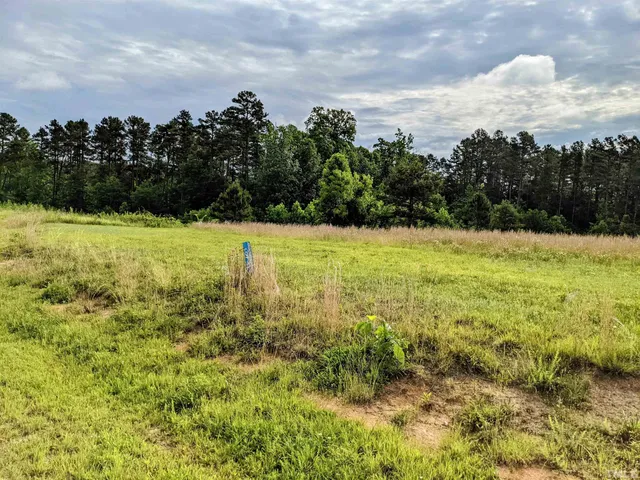 a view of a big yard with lots of green space