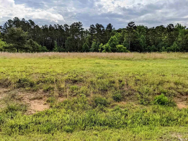 a view of a yard with a house in the background