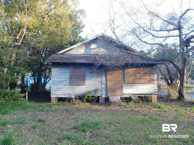 651 South Carolina Street Mobile, AL 36603 - Photo 5 of 5 Mature Foliage