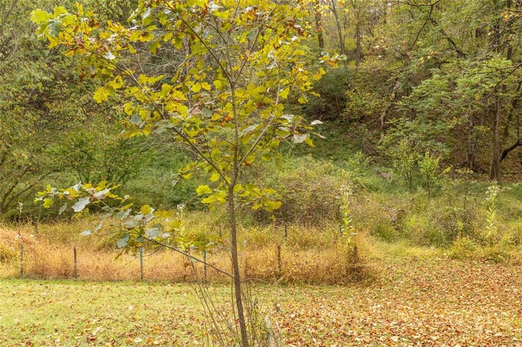 5879 Steele Road Murrysville, PA 15668 - Photo 3 of 27 a view of swimming pool of the area