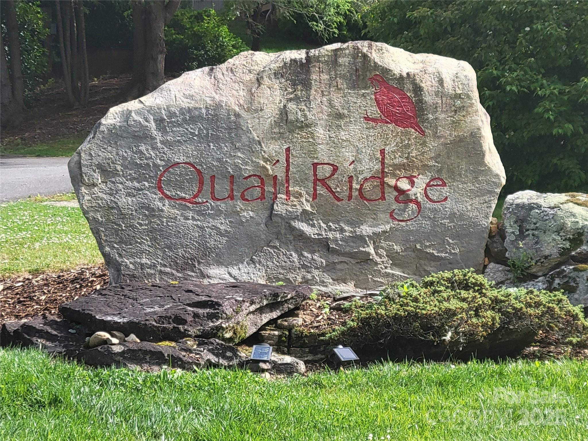 144 Ruffed Grouse Lane Waynesville, NC 28786 - Photo 13 of 43