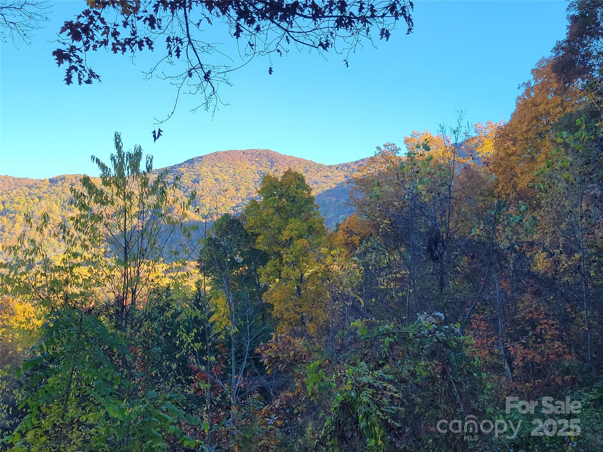 144 Ruffed Grouse Lane Waynesville, NC 28786 - Photo 38 of 43