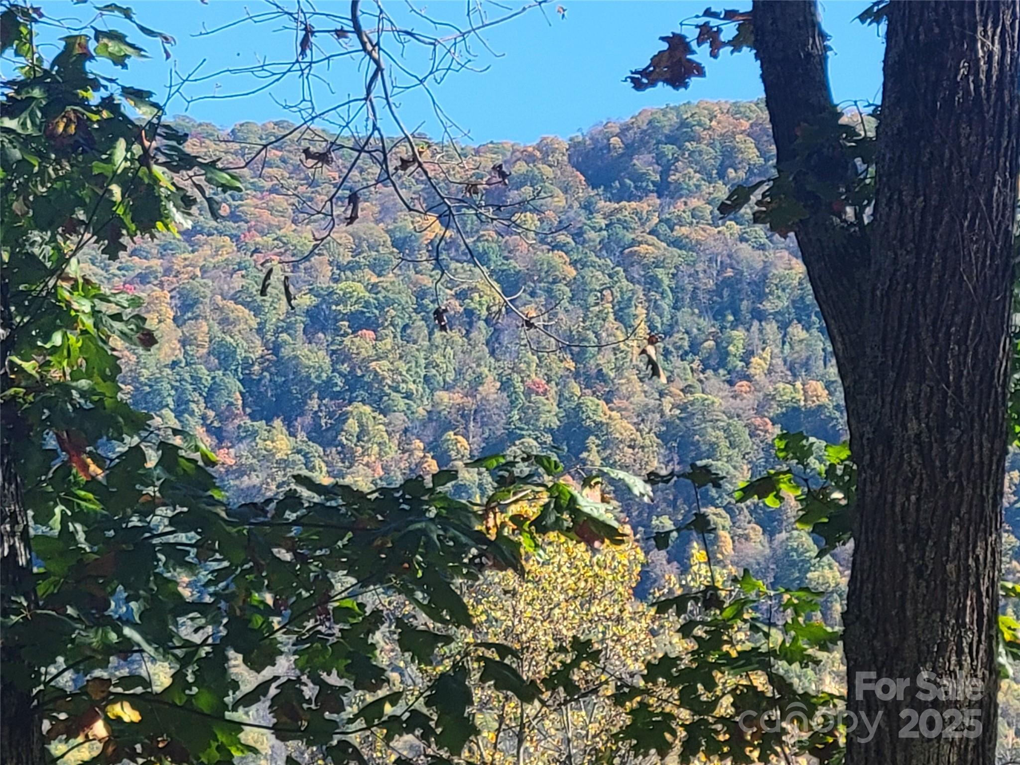 144 Ruffed Grouse Lane Waynesville, NC 28786 - Photo 41 of 43