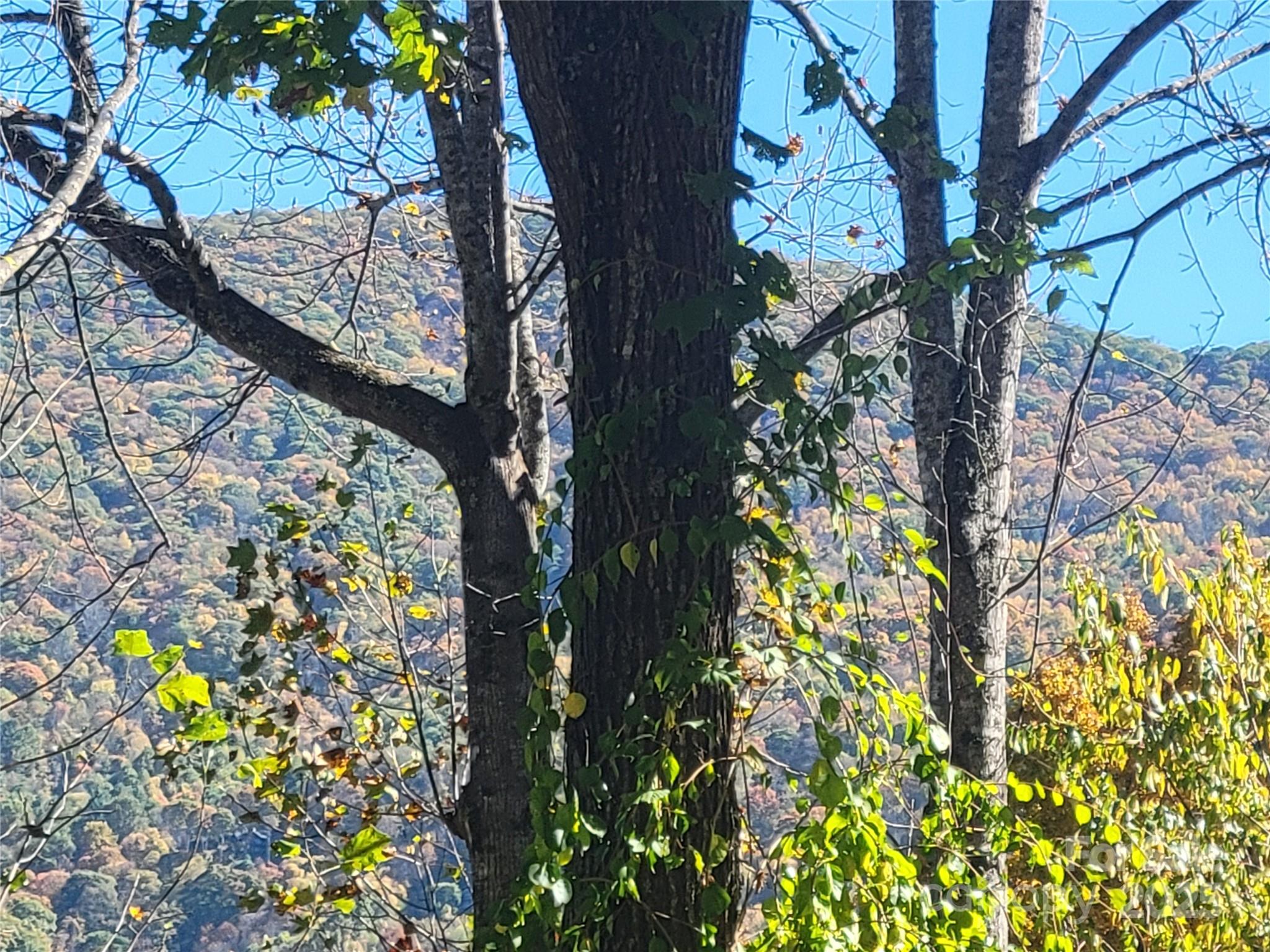 144 Ruffed Grouse Lane Waynesville, NC 28786 - Photo 42 of 43