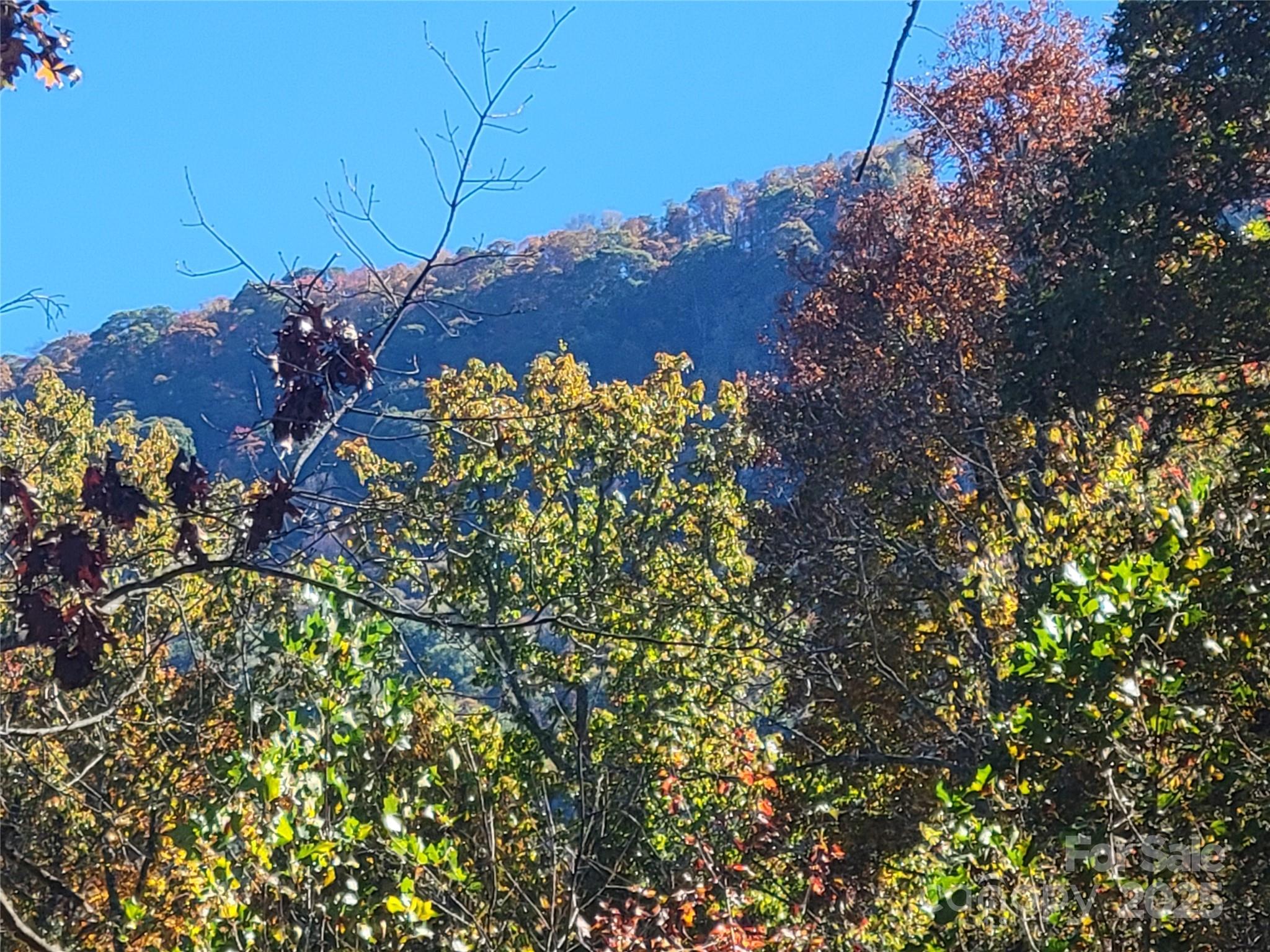 144 Ruffed Grouse Lane Waynesville, NC 28786 - Photo 43 of 43