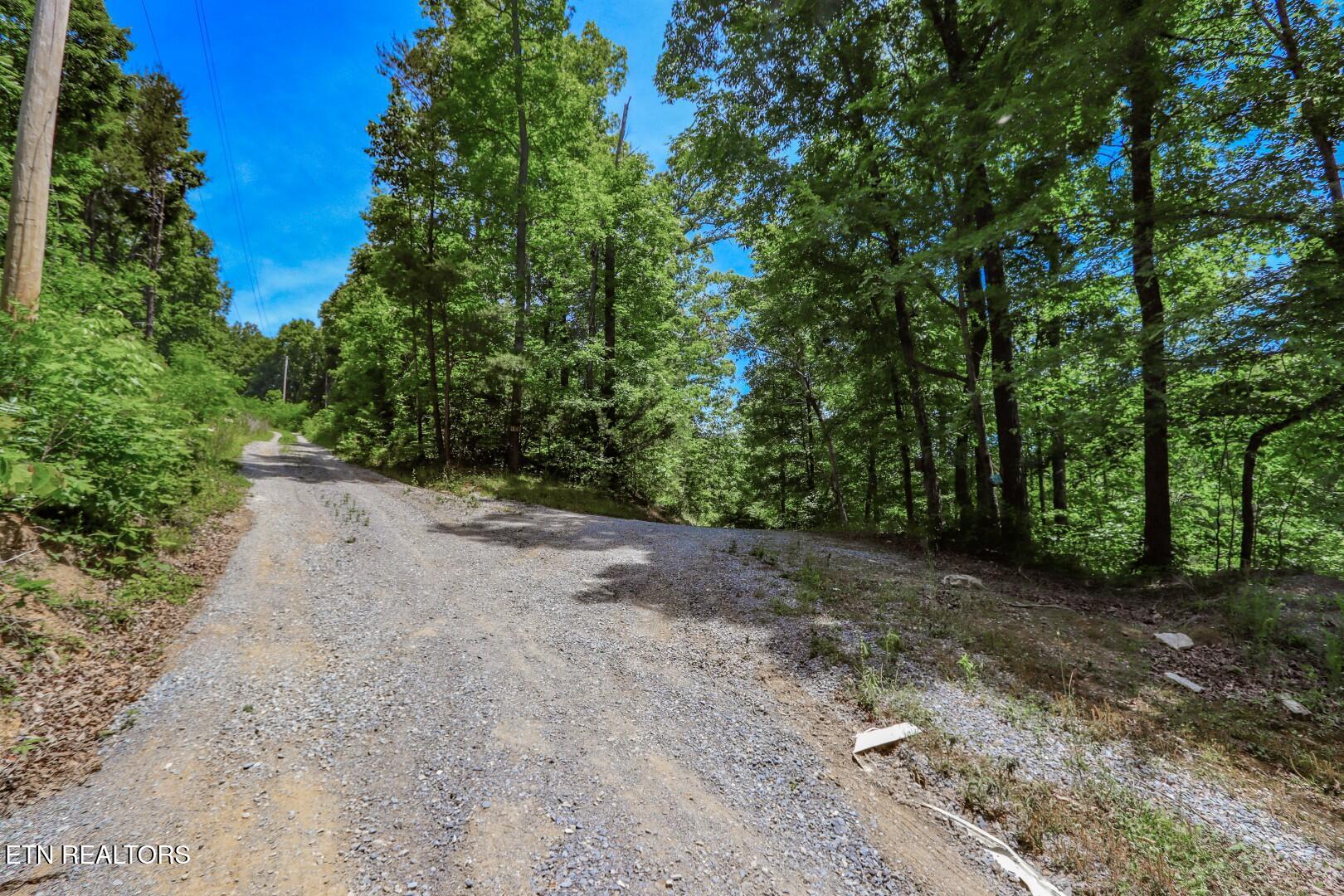 180 Shiloh Road Parrottsville, TN 37843 - Photo 32 of 41 33.6