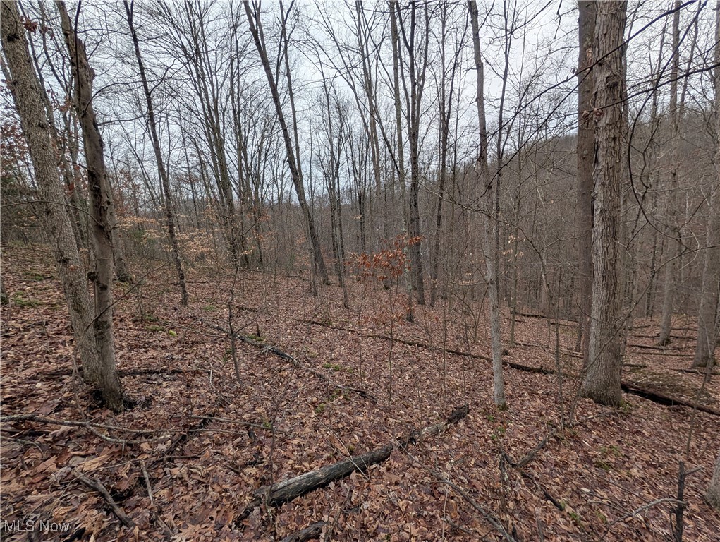 Brown Peavine Road Alledonia, OH 43902 - Photo 20 of 50