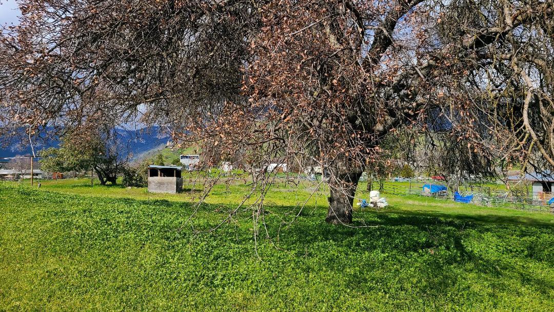 28754 Sandpiper Road Tollhouse, CA 93667 - Photo 10 of 30 Gallery Image 10