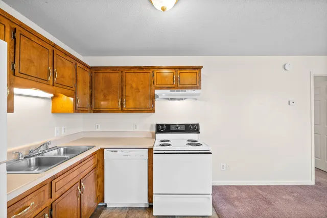 a kitchen with a sink cabinets and a refrigerator