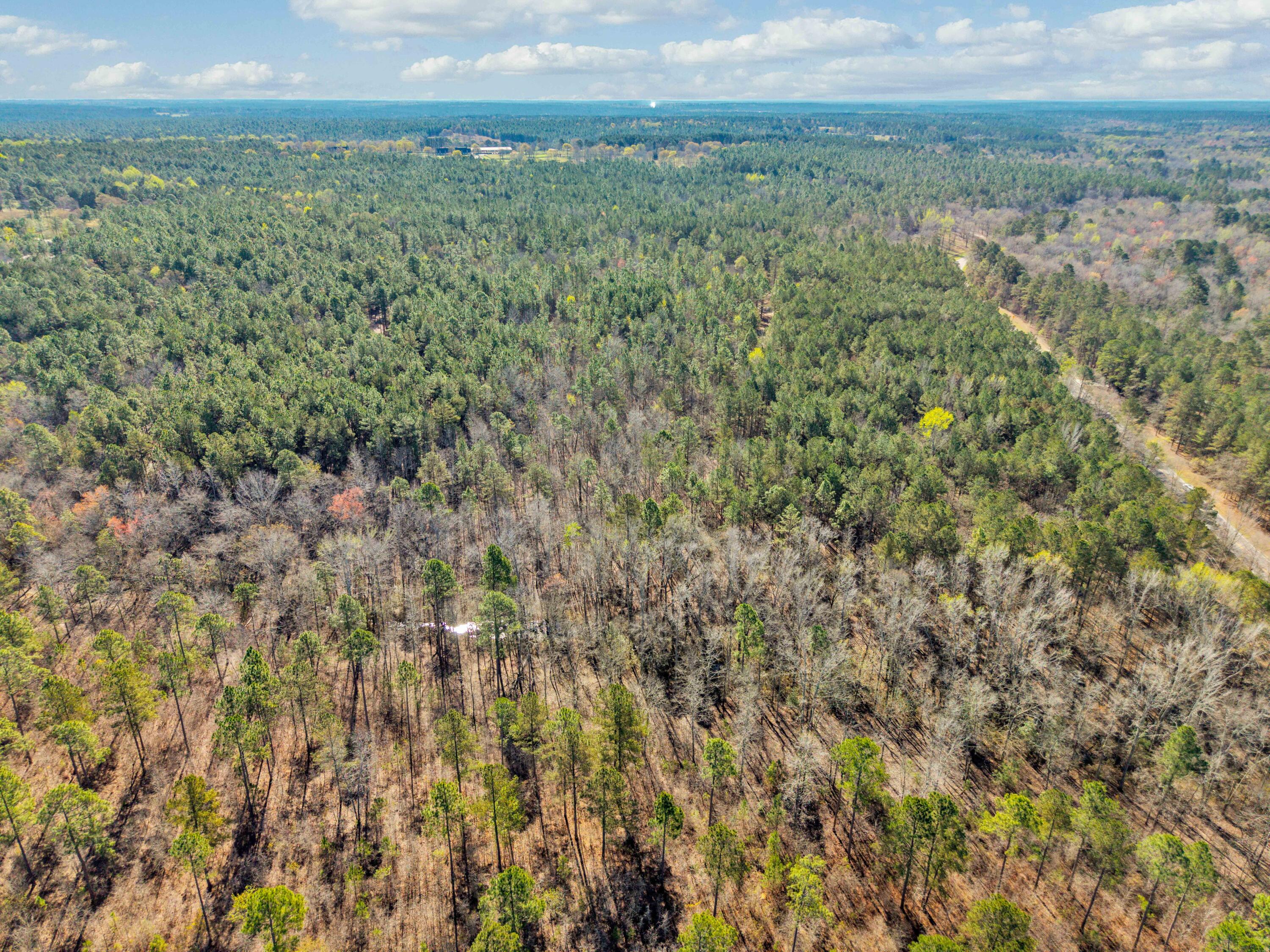 0 Banks Mill Road Southeast Aiken, SC 29803 - Photo 12 of 12 19-4343 Banks Mill Rd, 400ft View, Drone