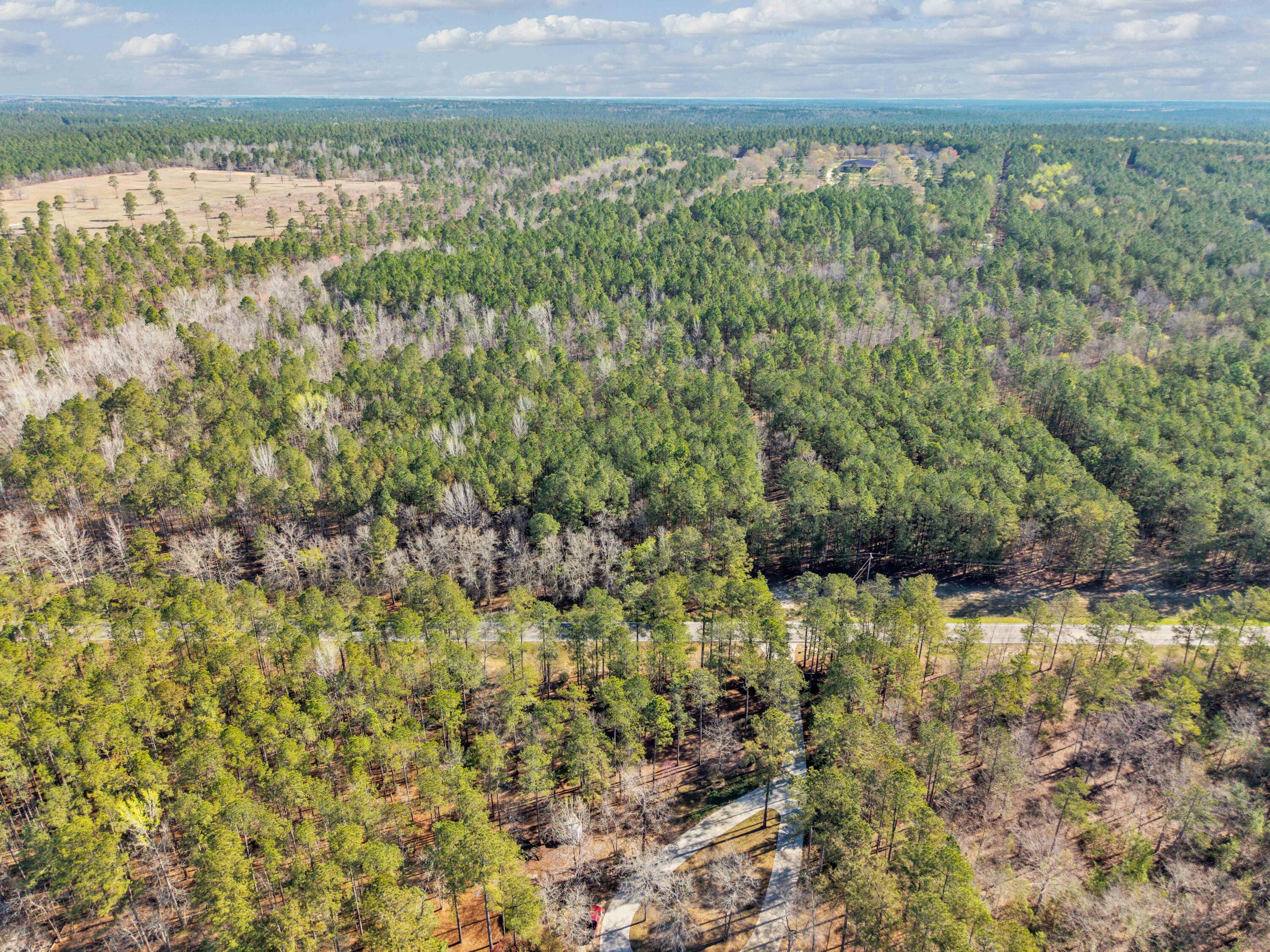 0 Banks Mill Road Southeast Aiken, SC 29803 - Photo 10 of 12 17-4343 Banks Mill Rd, 400ft View, Drone