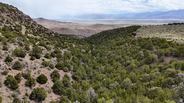 123 West Tbd Willow Spring Road Eureka, UT 84628 - Photo 47 of 60 Expansive natural landscape featuring varied terrain, abundant evergreen trees, a distant valley, and snow-capped mountains on the horizon