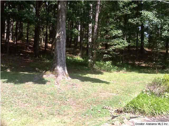 160 Lagle Road Bessemer, AL 35022 - Photo 21 of 26 Gallery Image 21