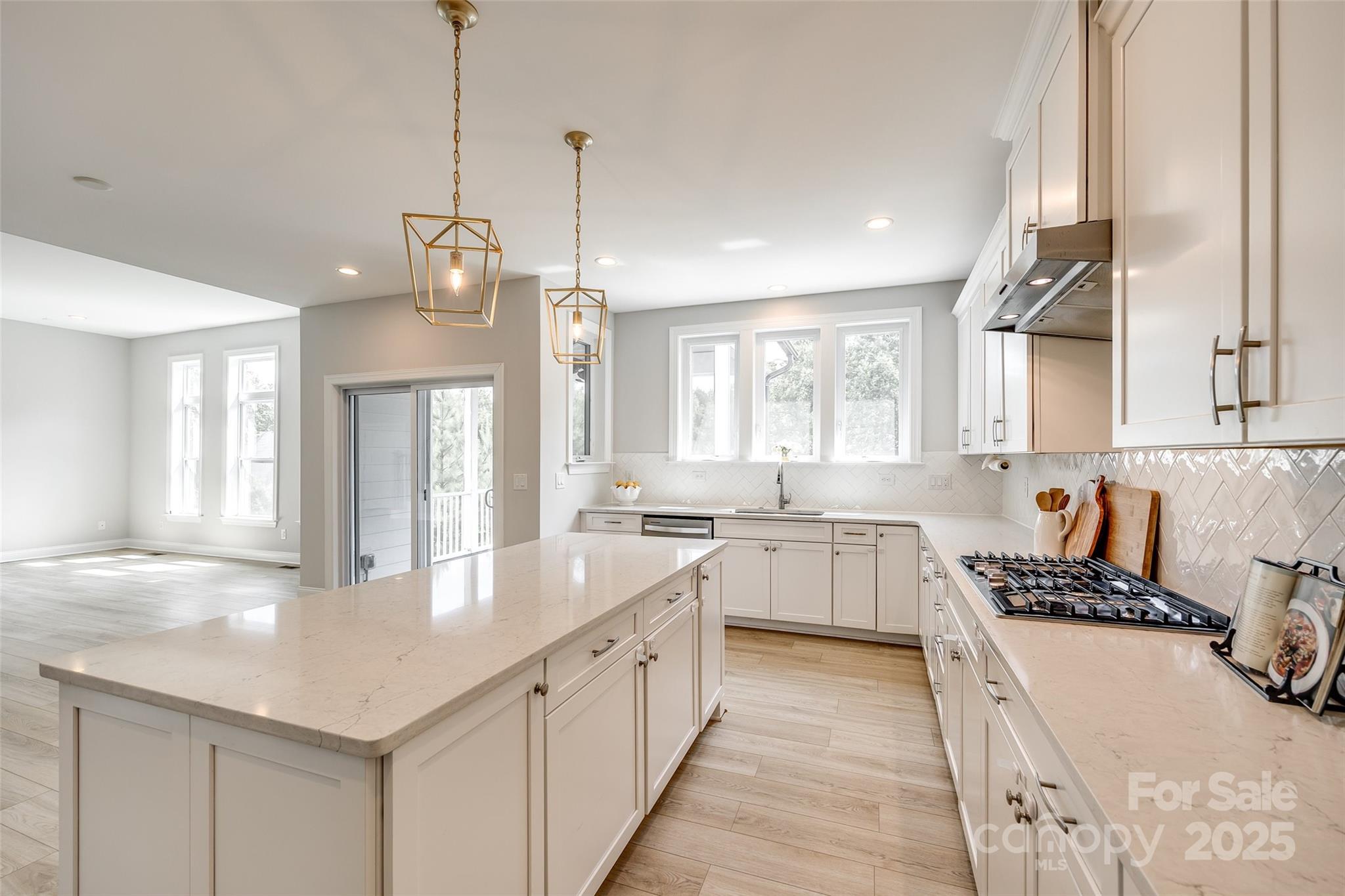 509 Abelia Lane Tega Cay, SC 29708 - Photo 9 of 44 Gallery Image 9