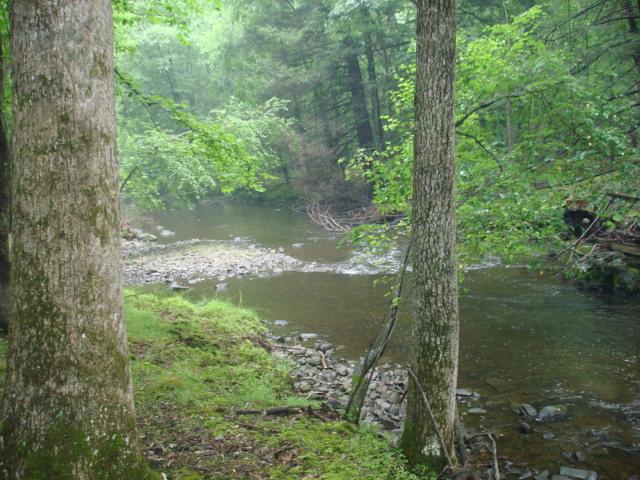 728 Decker Road Bushkill, PA 18324 - Photo 5 of 16 View From Backyard