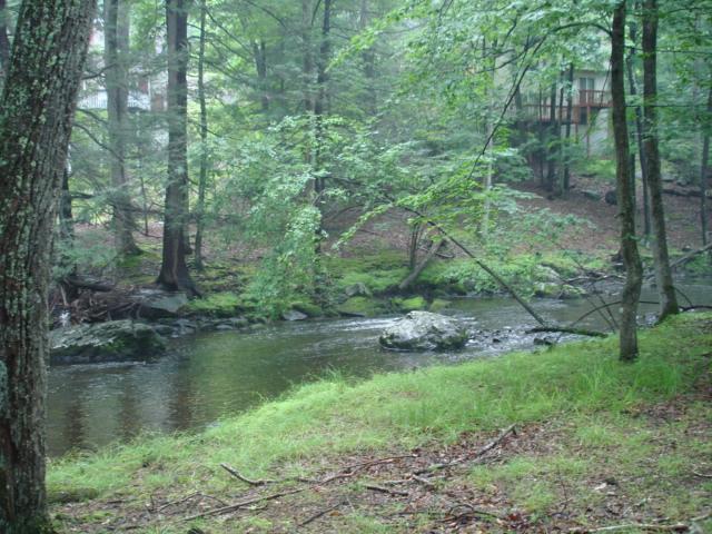 728 Decker Road Bushkill, PA 18324 - Photo 6 of 16 View from backyard