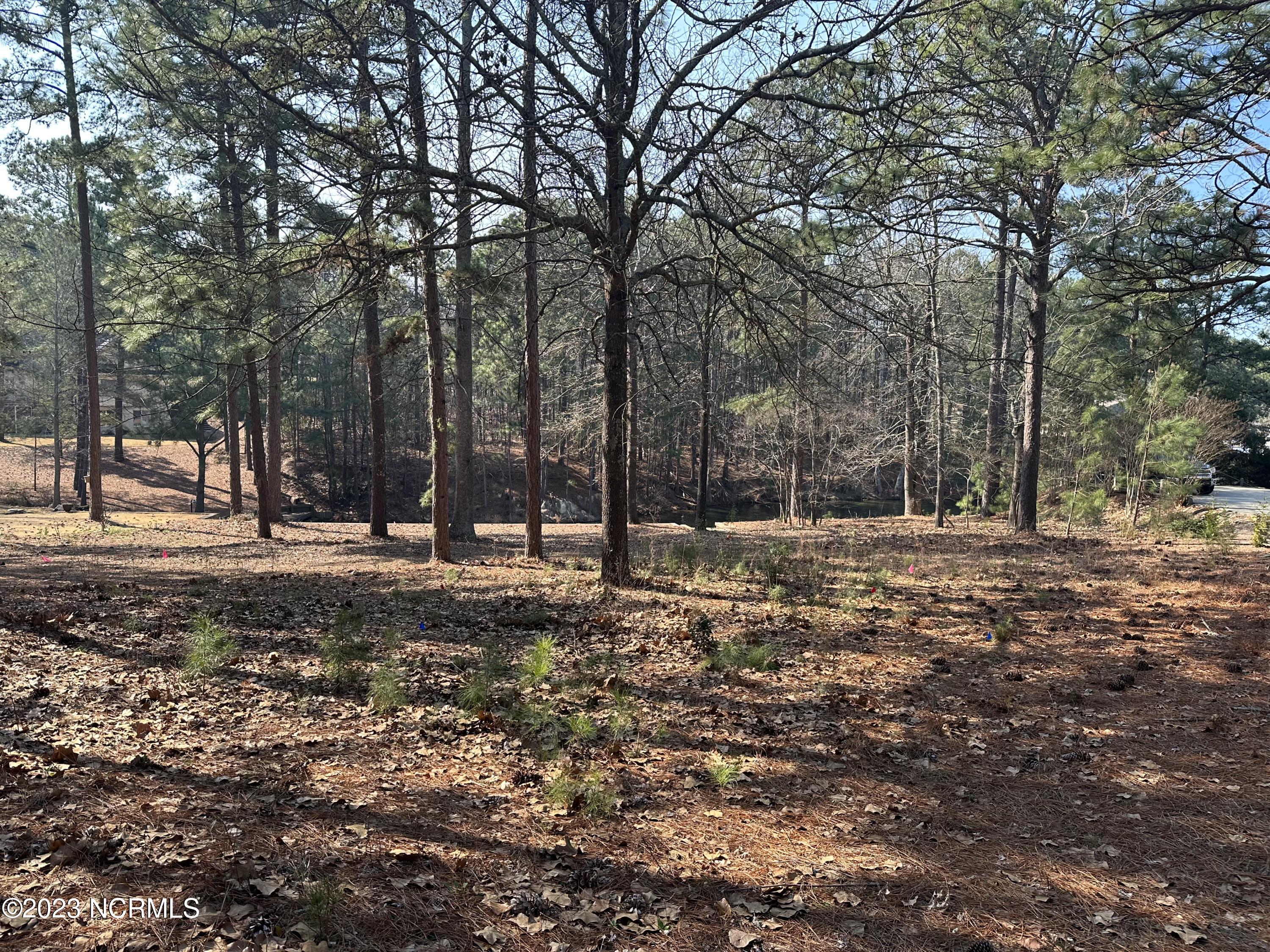 107 P3104 West End, NC 27376 - Photo 5 of 7 ADA7889E-66A3-4D01-9FC9-0EB9E422BE50