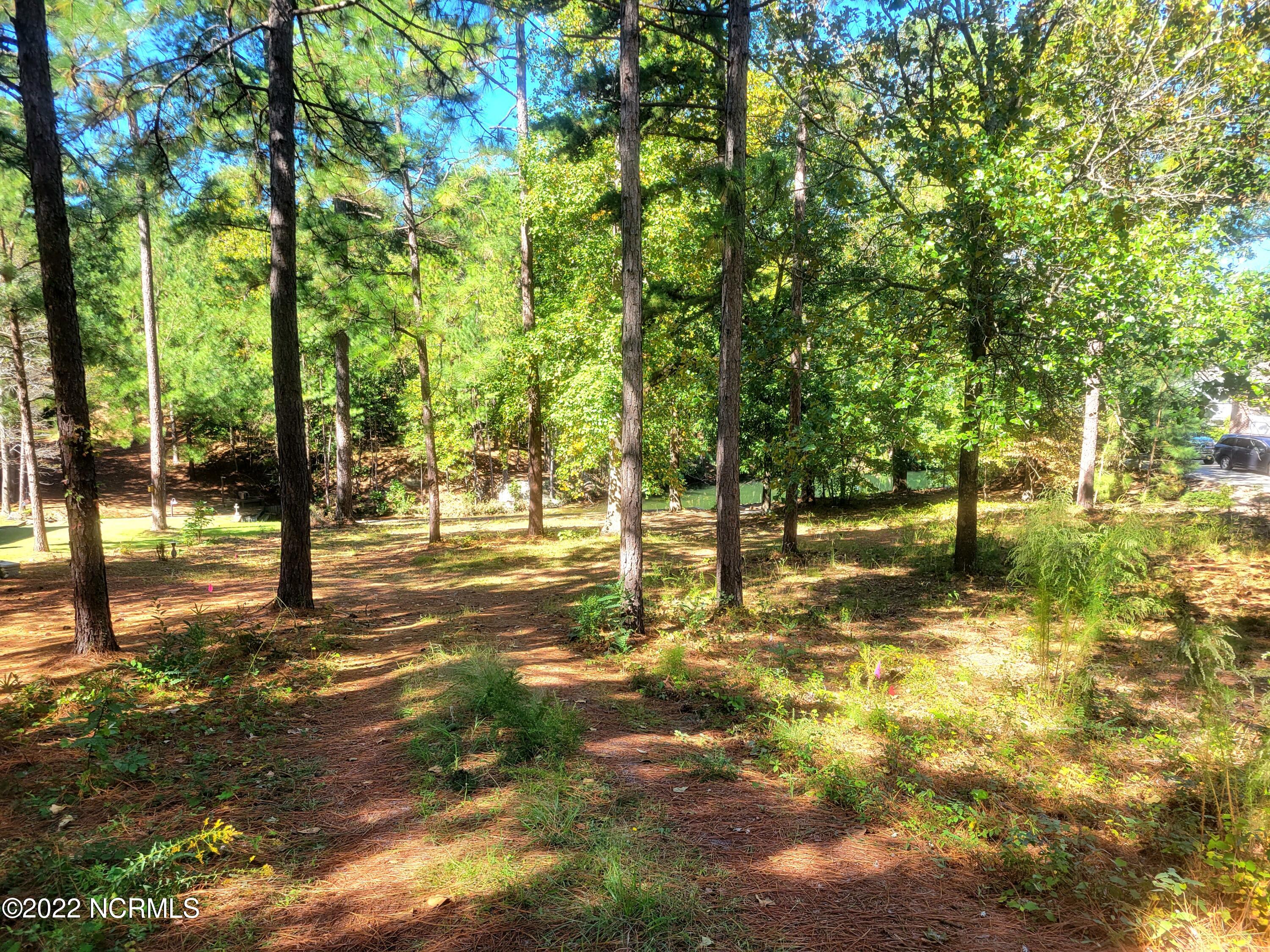 107 P3104 West End, NC 27376 - Photo 7 of 7 20221006_115620