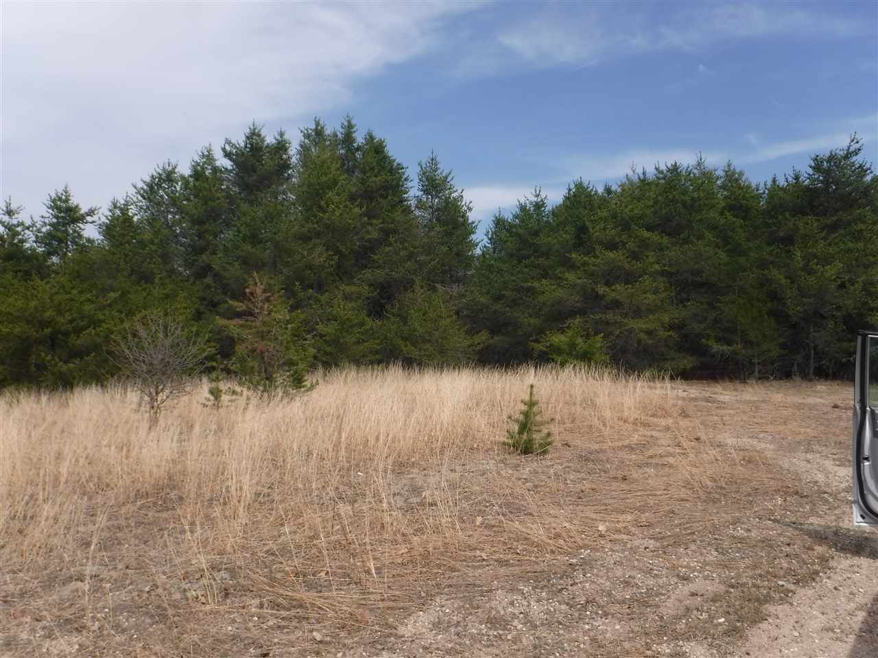 881 Quail Road Southwest Kalkaska, MI 49646 - Photo 3 of 8 1848623-2.JPG